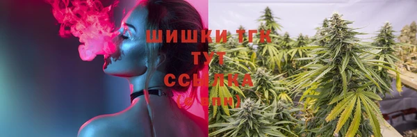 экстази Арсеньев