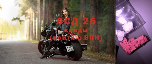 экстази Арсеньев