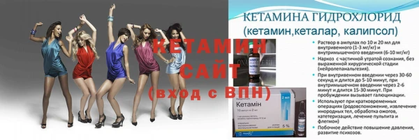 крисы Аркадак