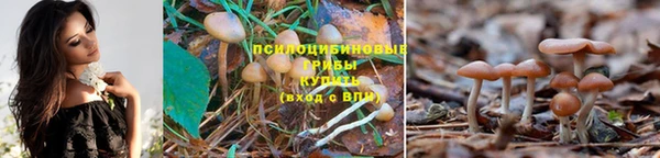 MDMA Армянск