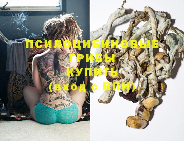 крисы Аркадак