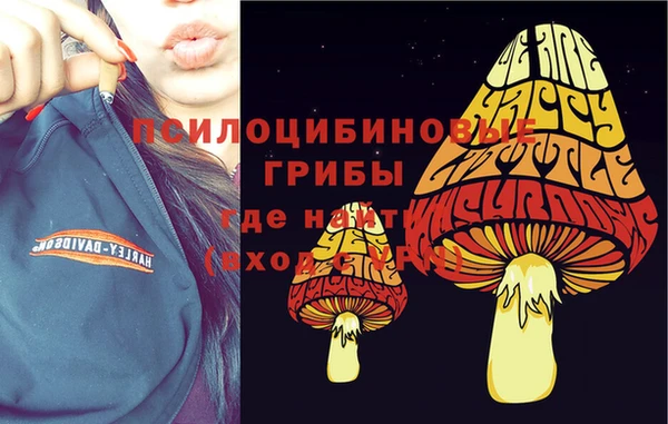 крисы Аркадак